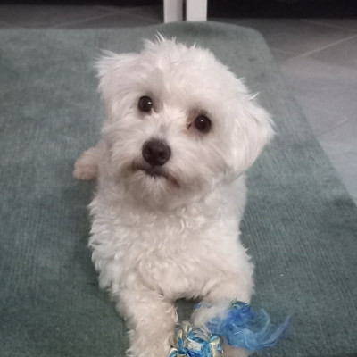 Benny